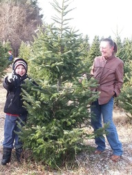 Family Tradition Cutting down your Christmas Tree